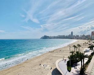 Vista exterior de Apartament de lloguer en Benidorm amb Calefacció, Terrassa i Moblat