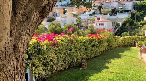 Casa o xalet de lloguer a Carrer del Roc Florit, 37, Levantina - Montgavina - Quintmar, Barcelona - imatge 3 Foto 3 de Casa o xalet de lloguer a Carrer del Roc Florit, 37, Levantina - Montgavina - Quintmar, Barcelona