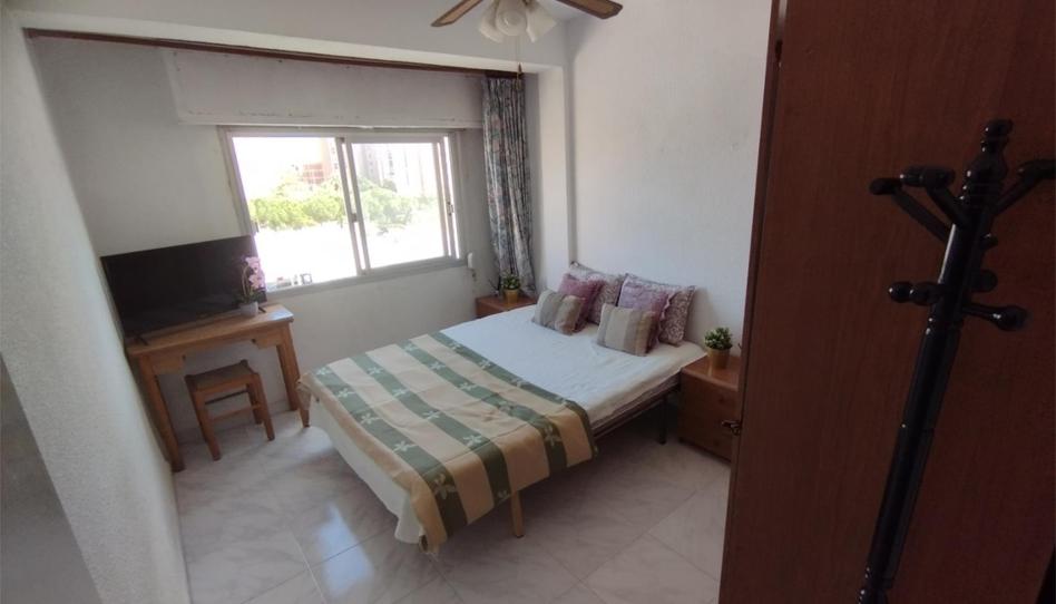 Foto 1 de Pis per a compartir a Calle Tuberia, 66b, San Agustín, Alicante