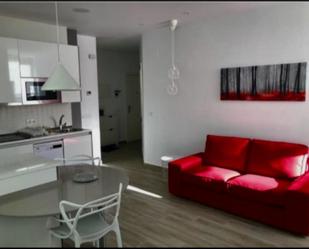 Sala d'estar de Apartament de lloguer en Burgos Capital amb Terrassa