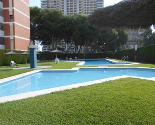 Piscina de Pis de lloguer en Alicante / Alacant amb Terrassa, Piscina i Balcó