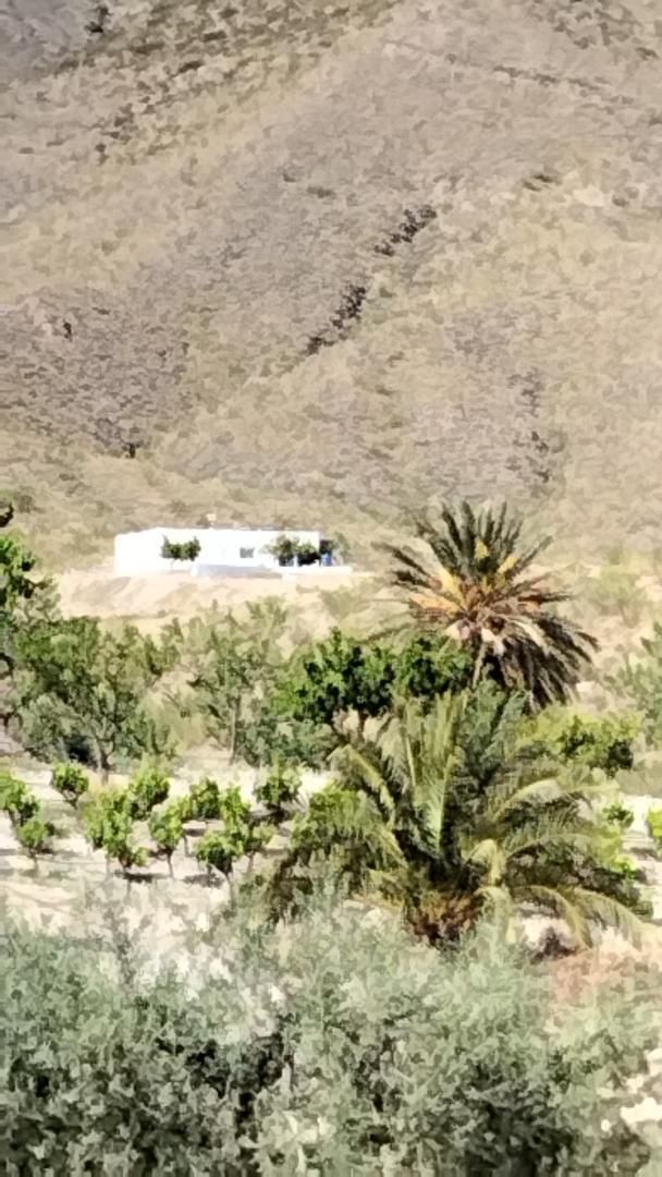 Vista exterior de Casa o xalet en venda en Uleila del Campo amb Aire condicionat, Calefacció i Moblat