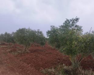 Land for sale in Almagro