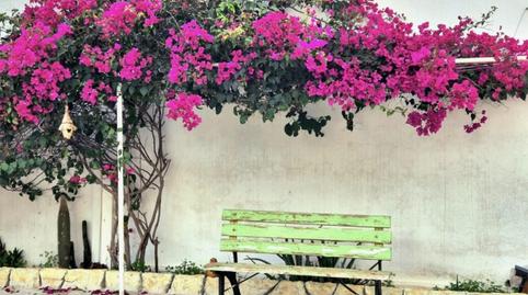 Flat for sale in Carrer de Sa Cova Blanca, 7, Cala d'Or, Illes Balears - image 2 Photo 2 of Flat for sale in Carrer de Sa Cova Blanca, 7, Cala d'Or, Illes Balears