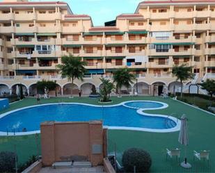 Vista exterior de Estudi de lloguer en Torrevieja amb Piscina