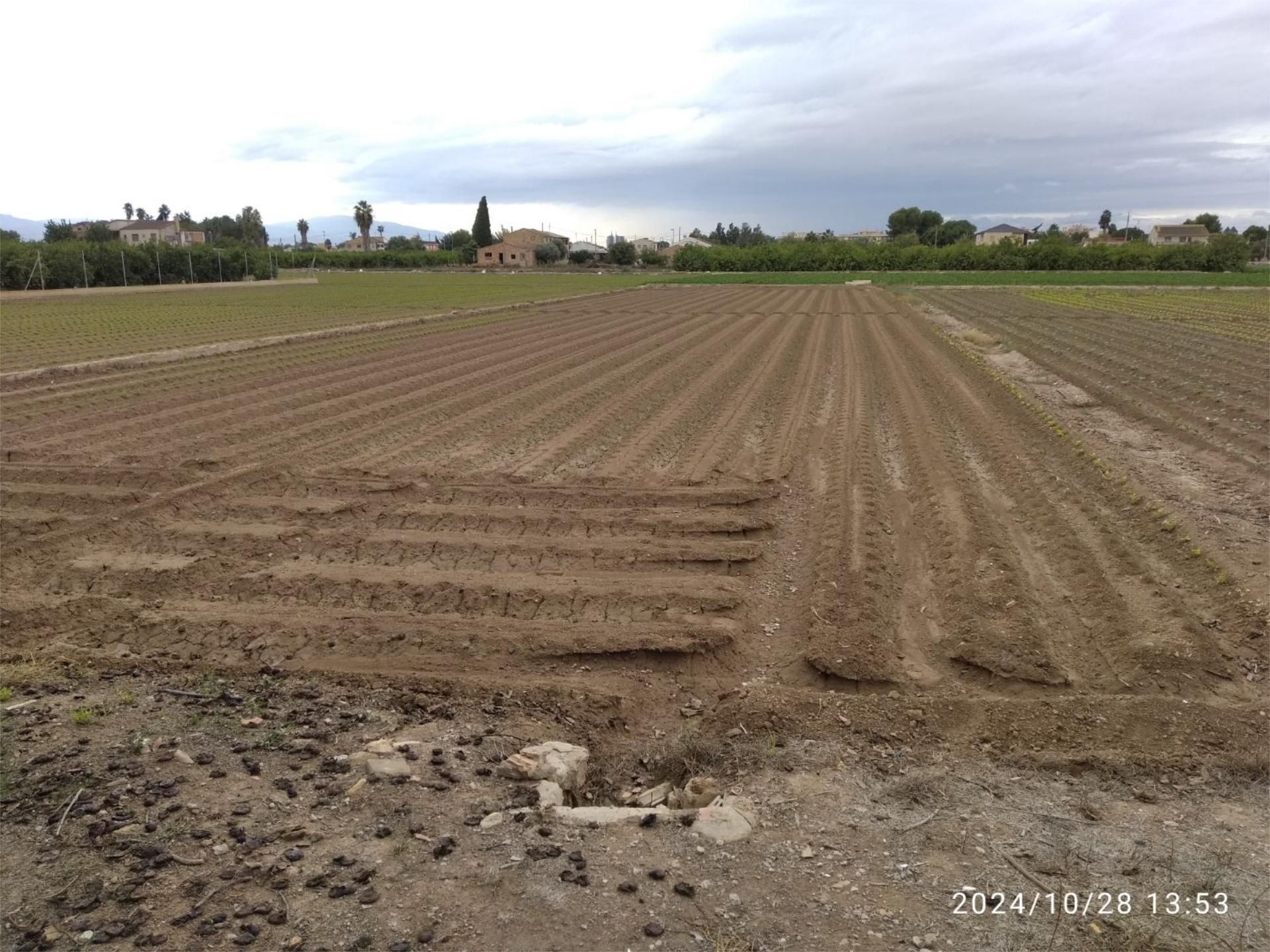 Land for sale in  Murcia Capital