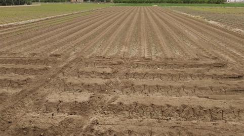 Photo 2 of Land for sale in Calle de la Cruz, 39, Casillas, Murcia