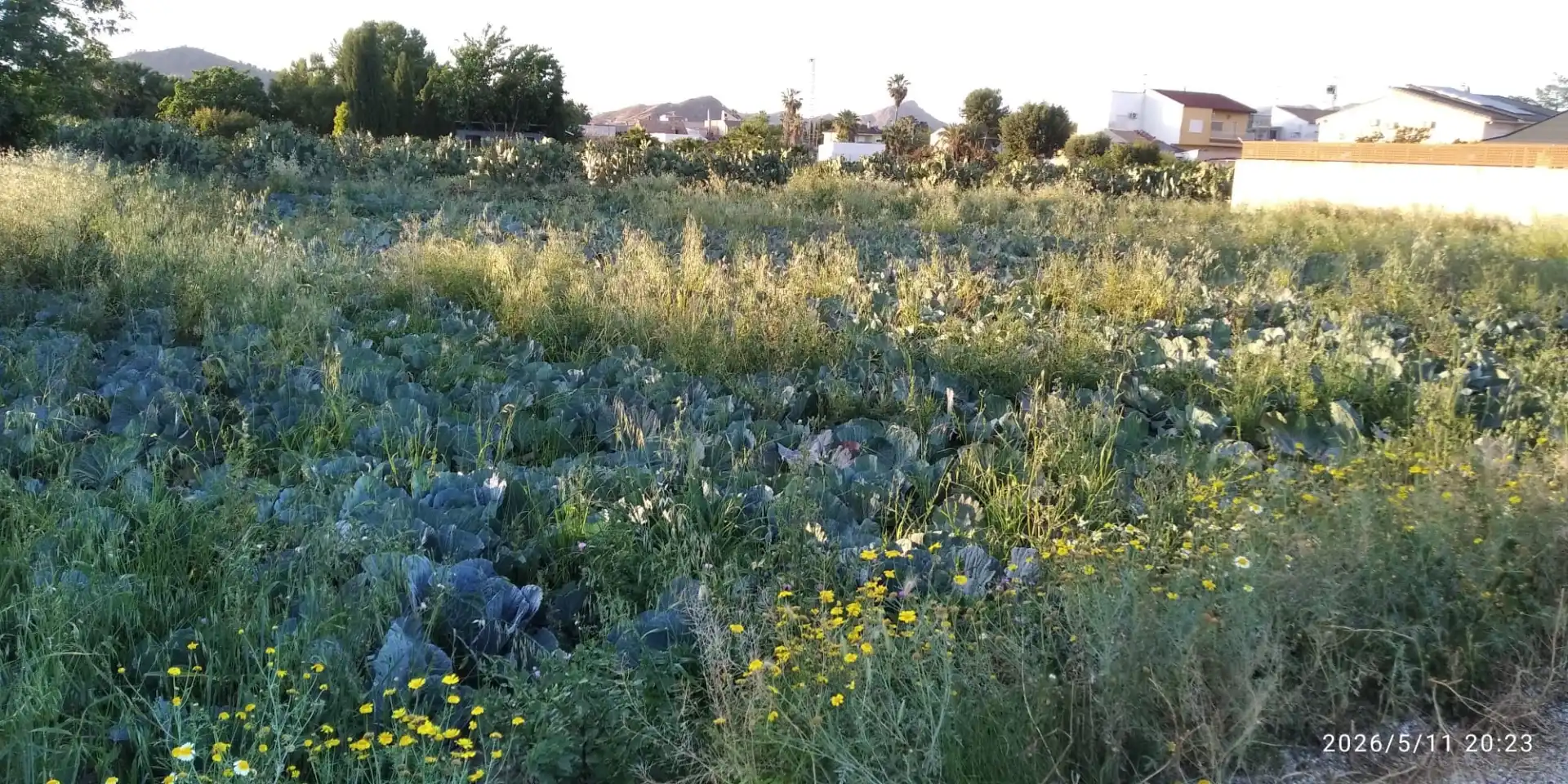 Land for sale in Calle de la Cruz, 39, Casillas Land for sale in Murcia