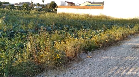 Terreno en venta en Calle de la Cruz, 39, Casillas, Murcia Capital - imagen 4 Foto 4 de Terreno en venta en Calle de la Cruz, 39, Casillas, Murcia Capital