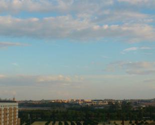 Exterior view of Flat to rent in  Sevilla Capital  with Air Conditioner