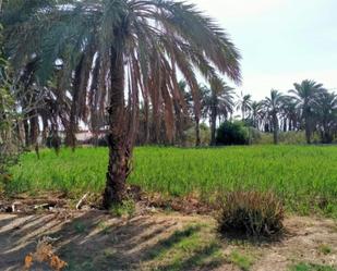 Country house for sale in Elche / Elx