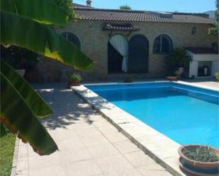 Swimming pool of Apartment to rent in Montequinto  with Swimming Pool