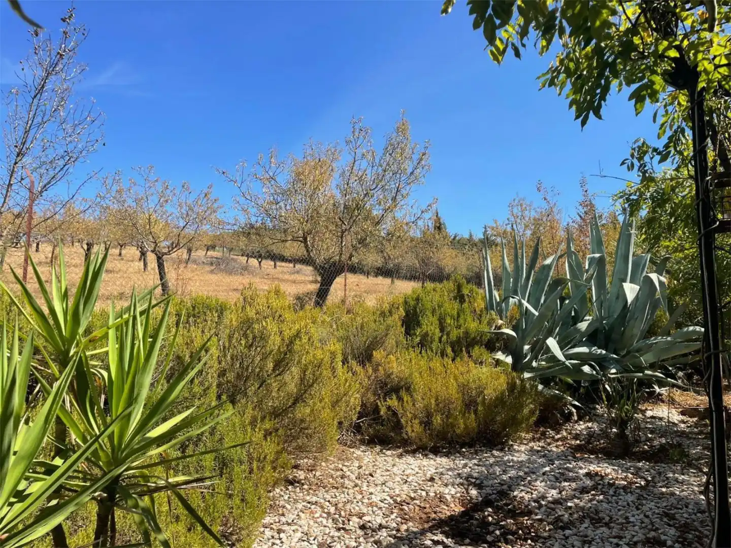Casa o chalet en venta en Diseminado Camino Santos, 12, Zafra Jardín de Casa o chalet en venta en Zafra con Aire acondicionado y Piscina