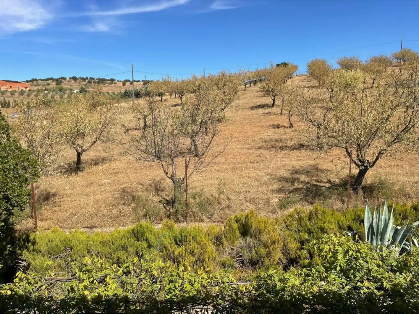 Casa o chalet en venta en Diseminado Camino Santos, 12, Zafra Casa o chalet en venta en Zafra con Aire acondicionado y Piscina