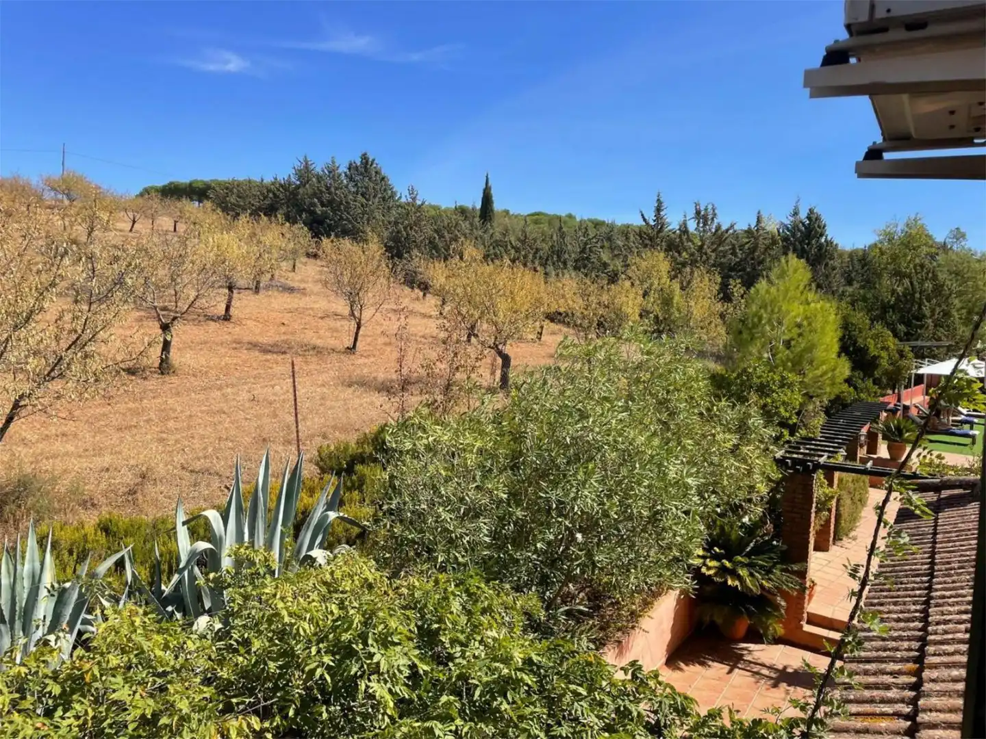 Casa o chalet en venta en Diseminado Camino Santos, 12, Zafra Jardín de Casa o chalet en venta en Zafra con Aire acondicionado y Piscina