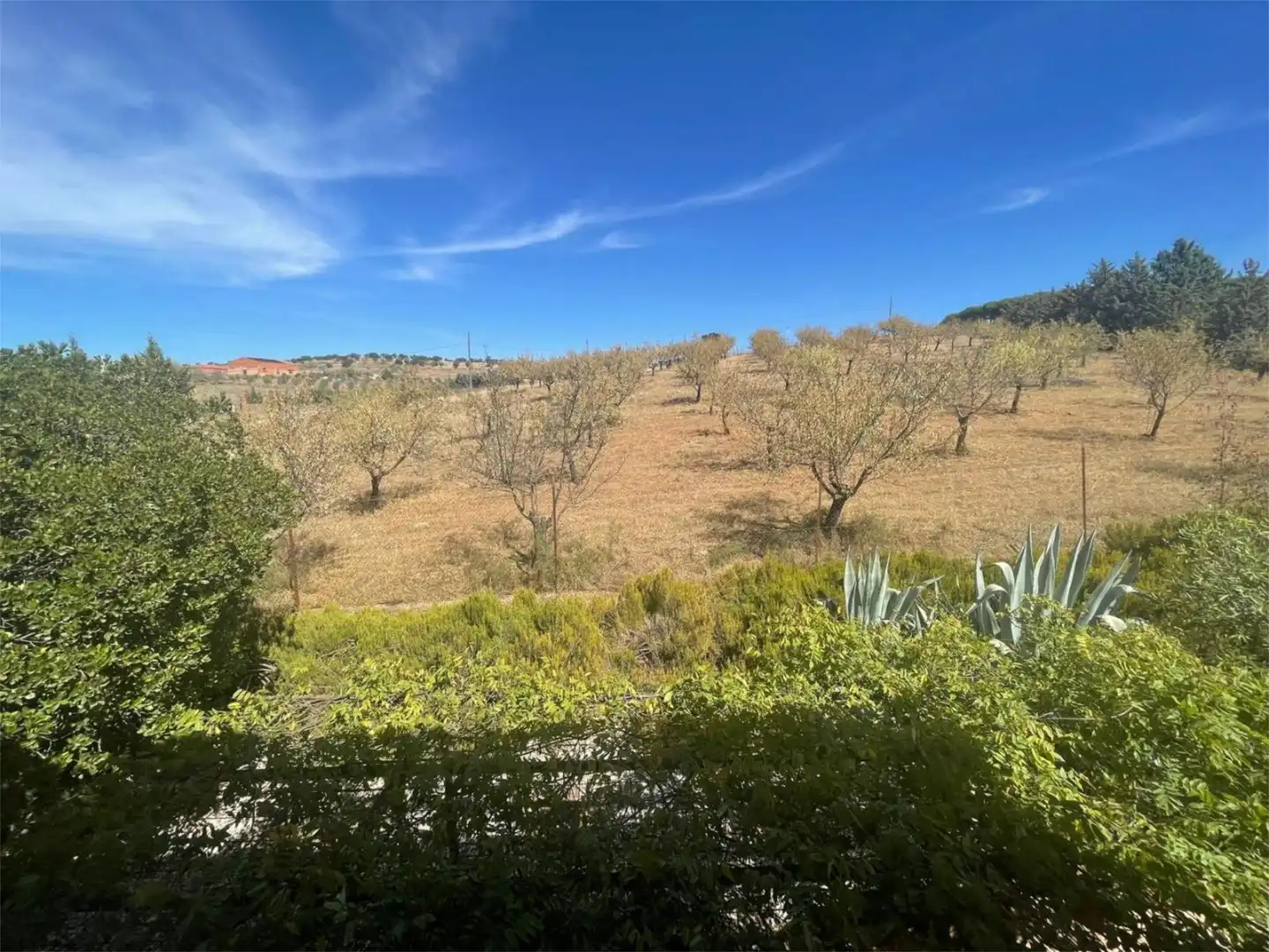 Casa o chalet en venta en Diseminado Camino Santos, 12, Zafra Casa o chalet en venta en Zafra con Aire acondicionado y Piscina