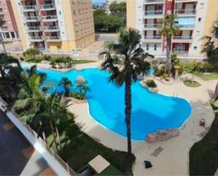 Swimming pool of Flat to rent in La Manga del Mar Menor  with Private garden, Swimming Pool and Furnished