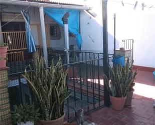 Garden of House or chalet for sale in Almonte  with Private garden, Terrace and Storage room