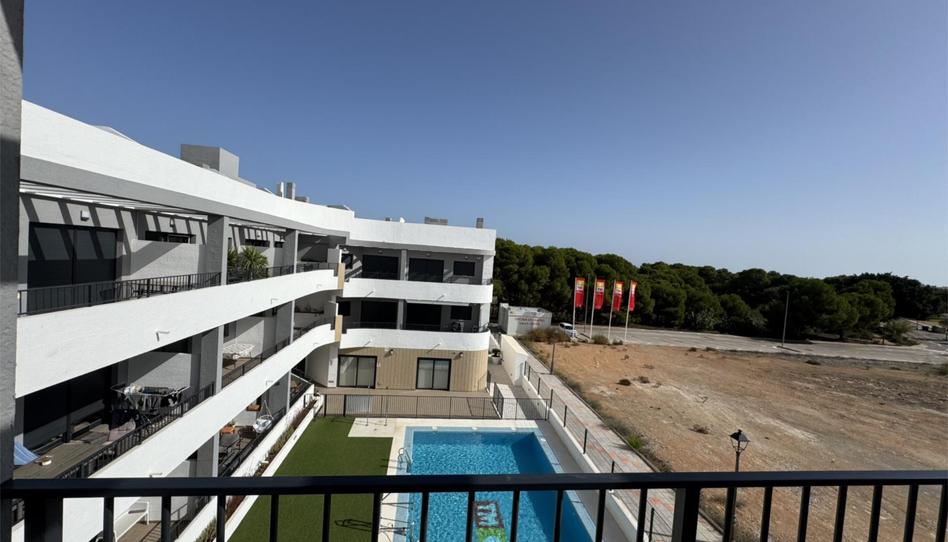 Foto 1 de Apartament de lloguer a Calle Río Esla, 7e, Mil Palmeras, Alicante