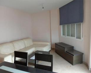 Living room of Flat for sale in Peligros