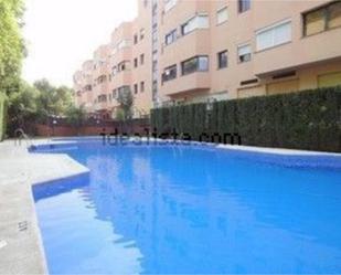 Piscina de Pis de lloguer en  Sevilla Capital amb Aire condicionat i Piscina