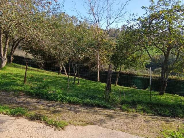 Finca rústica en Venta en Lugar Santa Eulalia, 19 en Parroquias Sur - La Manjoya