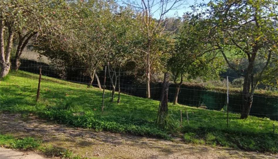 Finca rústica en venda a Lugar Santa Eulalia, 19, Parroquias Sur - La Manjoya, Asturias - imatge 1 Foto 1 de Finca rústica en venda a Lugar Santa Eulalia, 19, Parroquias Sur - La Manjoya, Asturias