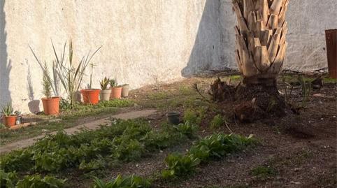 Casa adosada en venda a Calle Naranjos, 6, Albox, Almería - imatge 5 Foto 5 de Casa adosada en venda a Calle Naranjos, 6, Albox, Almería