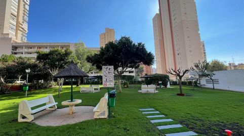 Photo 4 of Flat for rent in Avenida de París, 14, Rincón Alto, Benidorm