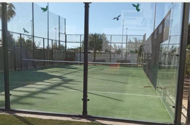 Apartamento en Alquiler en Carretera, 18 en Aguadulce - Almadraba - Punta Candor