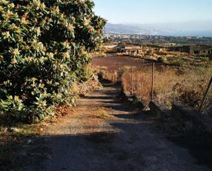 Vista exterior de Finca rústica en venda en Güímar