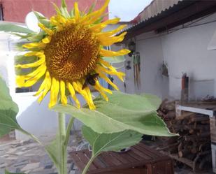 Jardí de Planta baixa en venda en Cehegín amb Calefacció, Jardí privat i Terrassa