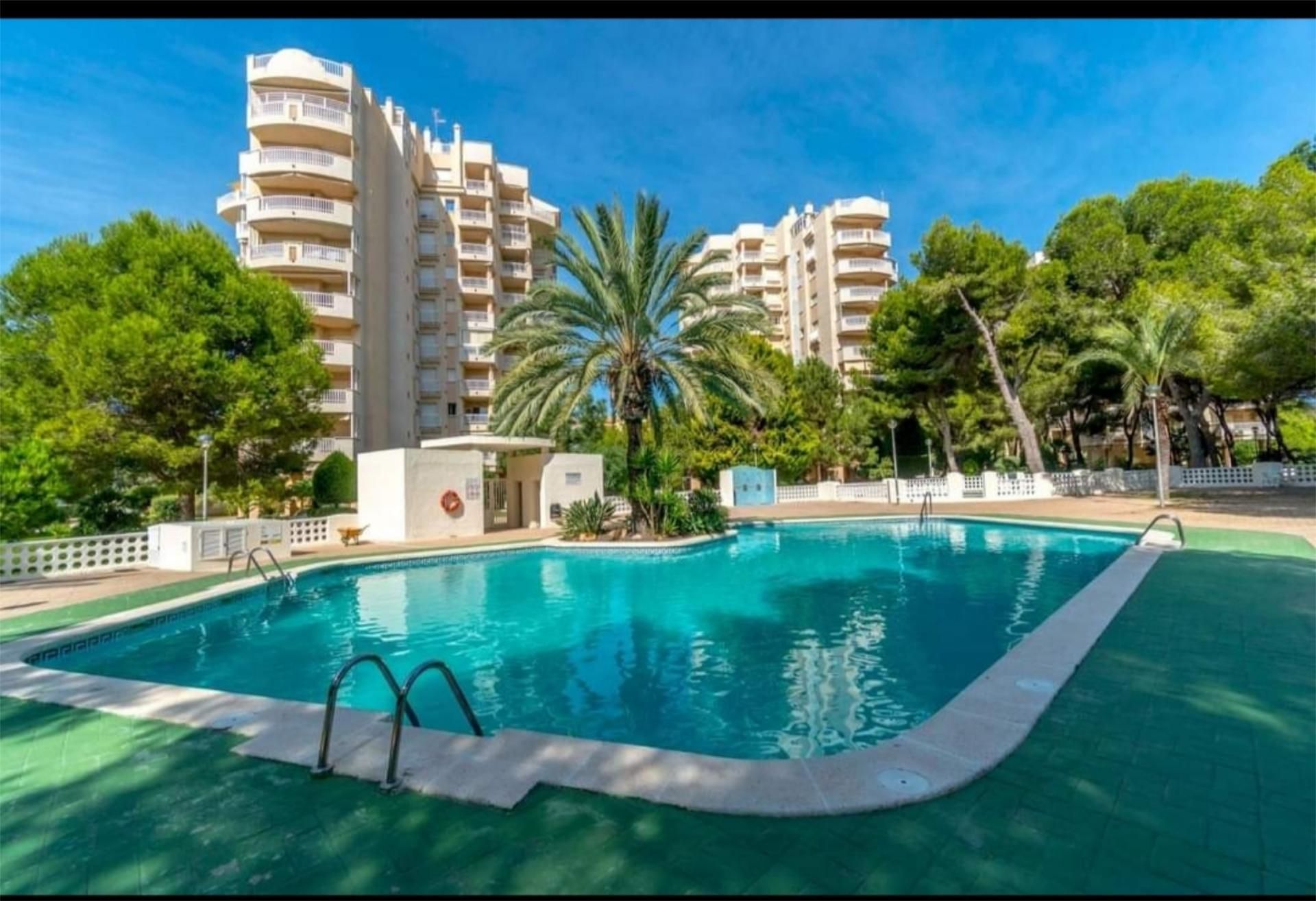 Piscina de Apartament en venda en Torrevieja amb Aire condicionat, Terrassa i Piscina
