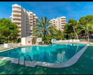 Piscina de Apartament en venda en Torrevieja amb Aire condicionat, Terrassa i Piscina