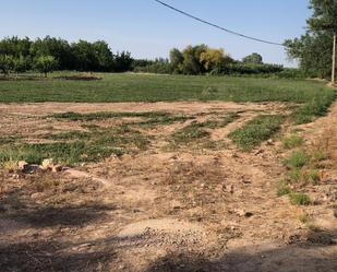 Land for sale in Tarazona