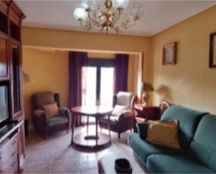 Living room of Flat for sale in Plasencia  with Air Conditioner, Terrace and Furnished