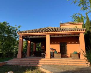 Jardí de Casa adosada de lloguer en Sanlúcar la Mayor