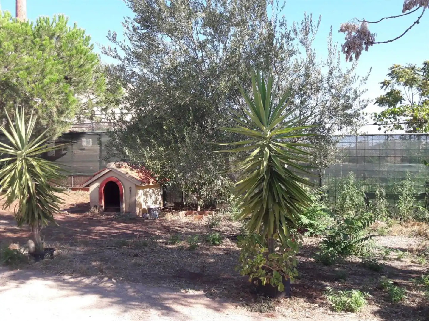 Jardí de Casa o xalet en venda en Cáceres amb Aire condicionat, Jardí privat i Terrassa