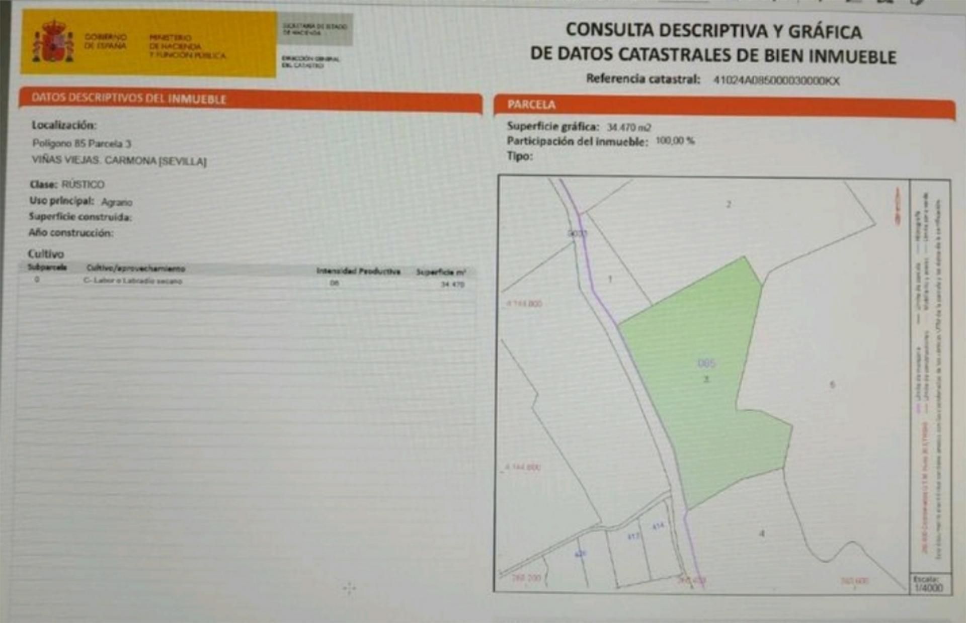 Non-constructible Land for sale in Carmona