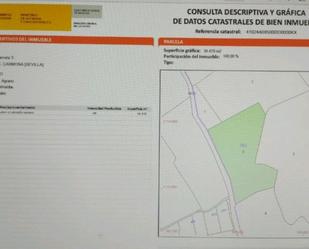 Non-constructible Land for sale in Carmona