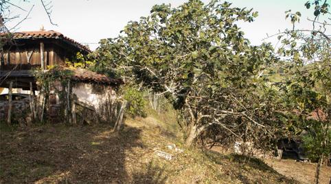 Single-family semi-detached for sale in Calle Maximino Miyar, 5, Villaviciosa - Amandi, Asturias - image 2 Photo 2 of Single-family semi-detached for sale in Calle Maximino Miyar, 5, Villaviciosa - Amandi, Asturias