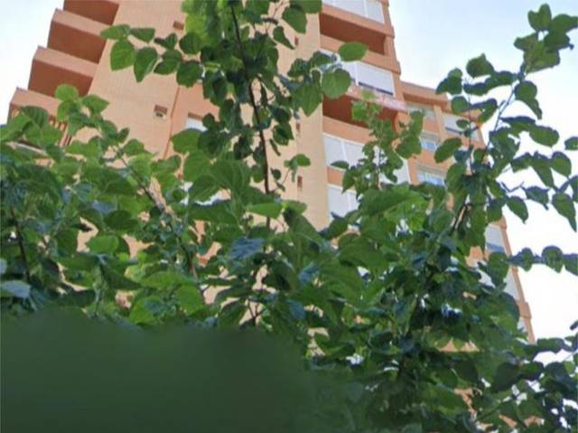 Piso en Venta en Calle Doctor Santiago Ramón y Cajal, 7 en Rincón Bajo