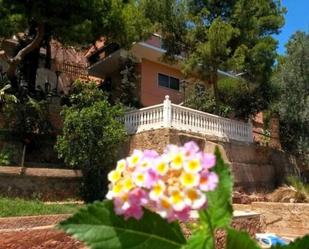 Garden of House or chalet for sale in Sagunto / Sagunt