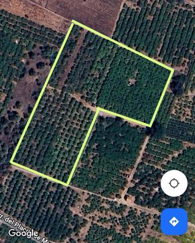 Terreno en Venta en Carretera de la Ratlla d'Almassora, 130 en Ciutat del Transport - La Salera