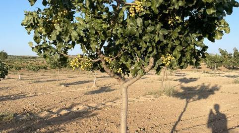 Terreno en venta en Calle Arroyo Alto, 3, Polán, Toledo - imagen 2 Foto 2 de Terreno en venta en Calle Arroyo Alto, 3, Polán, Toledo