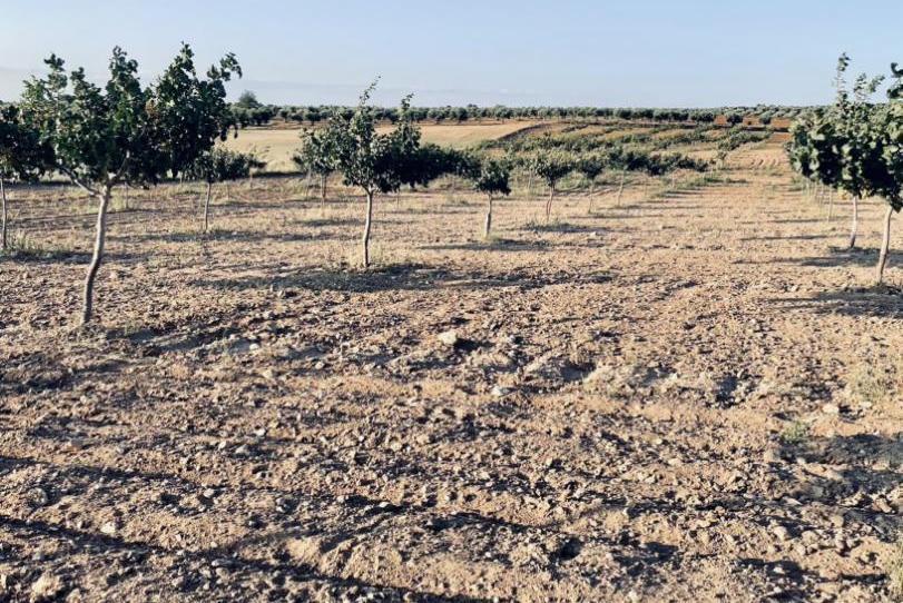 Terreno en venta en Calle Arroyo Alto, 3, Polán, Toledo - imagen 1 Foto 1 de Terreno en venta en Calle Arroyo Alto, 3, Polán, Toledo