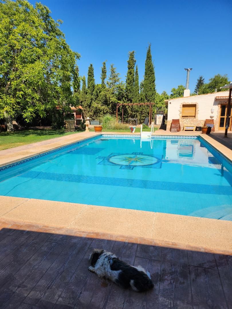 Swimming pool of House or chalet for sale in  Albacete Capital  with Terrace and Swimming Pool