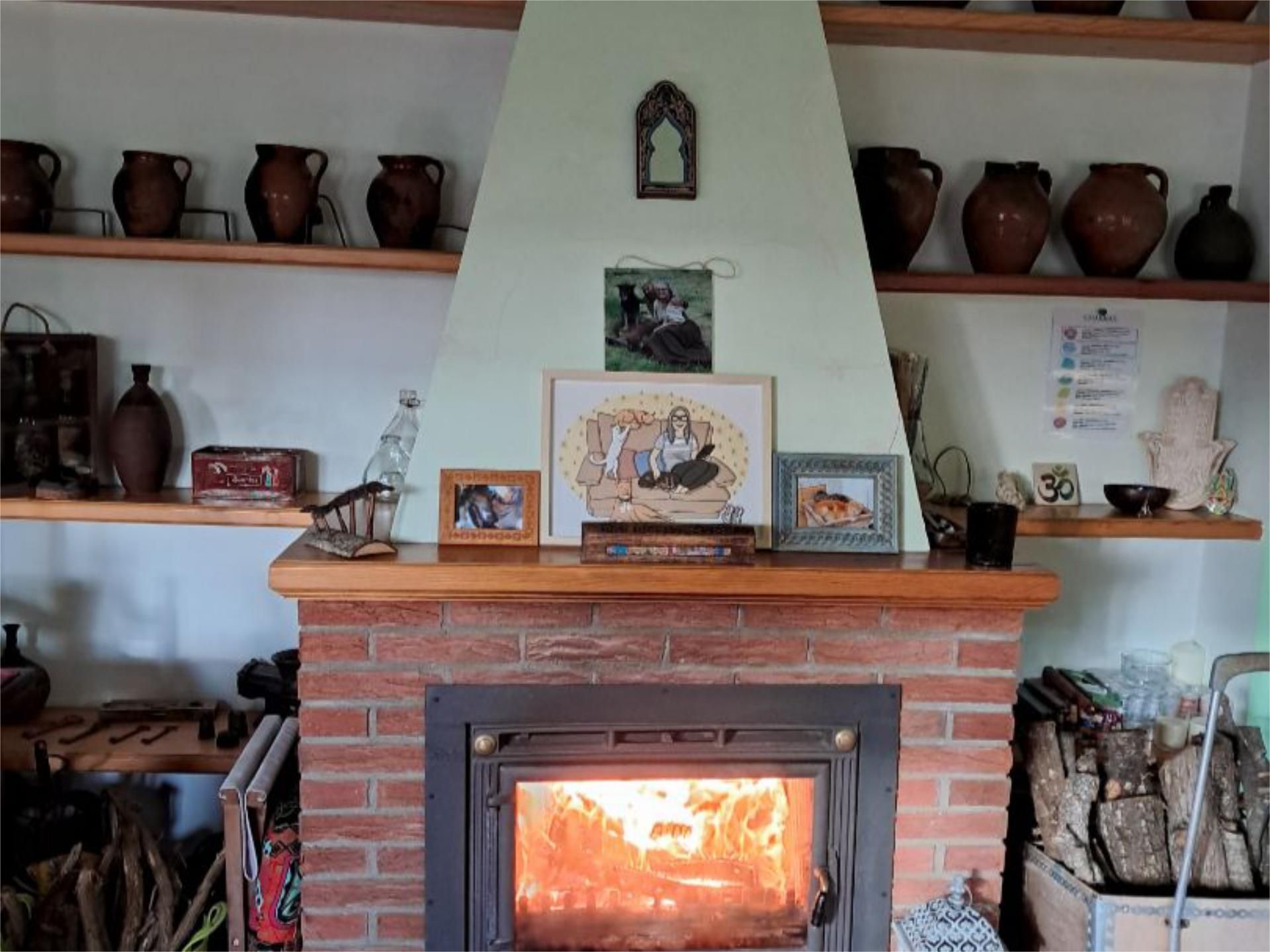 Living room of House or chalet for sale in Langa de Duero  with Heating, Private garden and Parquet flooring