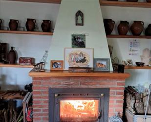 Sala d'estar de Casa o xalet en venda en Langa de Duero amb Calefacció, Jardí privat i Parquet