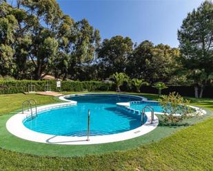 Piscina de Pis de lloguer en Guardamar del Segura amb Aire condicionat, Terrassa i Piscina